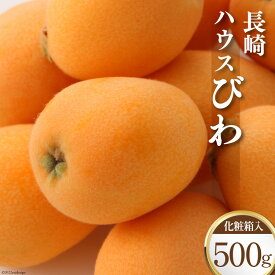 【ふるさと納税】【先行受付】長崎ハウス びわ 500g 化粧箱入り / 吉岡青果 / 長崎県 雲仙市 [item0835] / 果物 くだもの フルーツ 500グラム 熨斗対応 贈答用