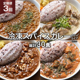 【ふるさと納税】【3回定期便】冷凍 スパイスカレー 4種10食×3回 総計30食 [カレーライフ 長崎県 雲仙市 item0895] カレー キーマ グリーン チキン ポーク 詰め合わせ 食べ比べ 定期便