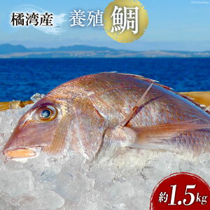 yӂ邳Ɣ[Łz kpY{B @1.5kg [rؑNX 茧 _s item1731]