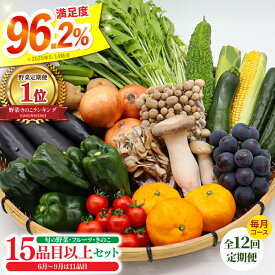 【ふるさと納税】【12回定期便】豪華！野菜 セット 15品目以上 毎月コース 野菜定期便 / 野菜 定期便 やさい 定期便 野菜セット やさいセット 春野菜 夏野菜 秋野菜 冬野菜 旬 / 南島原市 / 吉岡青果 [SCZ019]