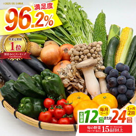 【ふるさと納税】【選べる配送回数】【12回・24回定期便】豪華！野菜 セット 15品目以上 毎月コース 野菜定期便 / 野菜 定期便 やさい 定期便 野菜セット やさいセット 春野菜 夏野菜 秋野菜 冬野菜 旬 / 南島原市 / 吉岡青果 [SCZ019]