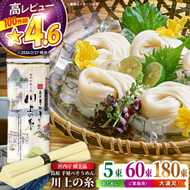 【ふるさと納税】【宮内庁献上品】島原手延べそうめん 川上の糸 250g 3kg 9kg / そうめん 素麺 手延べそうめん 島原そうめん 麺 素麺 小分け 内容量が選べる / 南島原市 / 川上製麺 [SCM028]