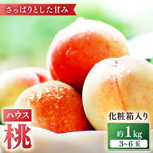yӂ邳Ɣ[Łzy2026N5{`z ʍ͔|nEX 1kg ϔ /    t[c ʕ { / 쓇s / ӂ͂t@[ [SBS005]