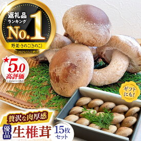 【ふるさと納税】【一度食べたら忘れられない】九州で唯一！ 希少な生椎茸 【優品】15枚セット / しいたけ 椎茸 生しいたけ 生シイタケ きのこ キノコ 茸 / 南島原市 / サンエスファーム [SBX003]