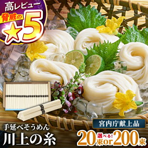 【宮内庁献上品】島原手延べそうめん 川上の糸 1kg or...