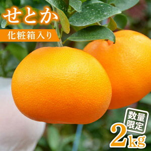 yӂ邳Ɣ[Łzy2026N2`zԌIƂ 2kg / ݂ ~J  ʕ t[c p ϔ / 쓇s / JA_哌암Z^[[SAC002]
