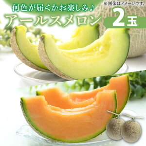 yӂ邳Ɣ[Łzy2025N11{`zA[X  (2) /  ߂  ʕ t[c / 쓇s / JA_哌암Z^[ [SAC004]