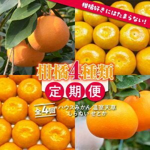 yӂ邳Ɣ[Łzy4ցzy2026N7񔭑zk 4  / nEX݂ V ʂ Ƃ ʕ t[c / 쓇s /JA_哌암Z^[ [SAC005]