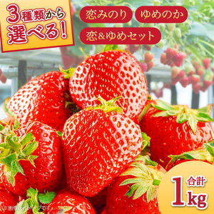 yӂ邳Ɣ[ŁzyZbgeIׂzy2026N1`z 2 Hה 250g×4P / ߂̂ ݂̂  C`S  ʕ t[c / 쓇s / JA_哌암Z^