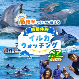 【ふるさと納税】南島原 イルカウォッチング 子ども用 ペアチケット / チケット ちけっと 体験型 観光チケット いるか イルカ イルカ体験 貸し切り / 南島原市 / 南島原イルカウォッチング[SAE004]