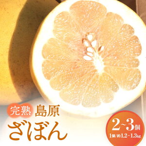 yӂ邳Ɣ[Łzy2025N12{`zyr^~CՂIzn  ڂ 2`3 / ڂ U{ R / 쓇s /  [SAG008]