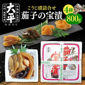 【ふるさと納税】茄子 の 宝漬 （こうじ漬 詰合）800g / 漬物 ご飯のおとも 茄子 きゅうり 生姜 大根 / 南島原市 / 大平食品[SAK004]