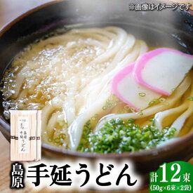 【ふるさと納税】島原手延うどん 600g (50g×6束) / うどん ウドン 乾麺 常温 ギフト プレゼント 贈り物 / 南島原市 / 本多兄弟商会 [SAU003]