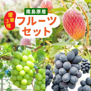 yӂ邳Ɣ[Łzy2ցzy2026N7`z}S[  VC}XJbg  Ԃǂ ̍؃Zbg / t[c ʕ uhE  Y  t[c / 쓇s / _ [