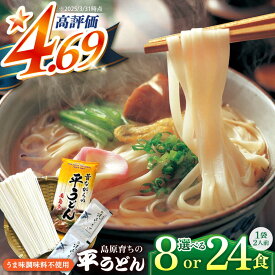 【ふるさと納税】【内容量が選べる】焼あごスープと島原育ちの平うどん 8食 24食 / 楽天限定 うどん 饂飩 ウドン 麺 だし 乾麺 / 南島原市 / こじま製麺 [SAZ006]