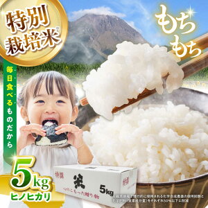 yӂ邳Ɣ[Łzyߘa7NYVāzyʍ͔|āz qmqJ 5kg /    ͂  Ђ̂Ђ / 쓇s / _Ɩh@[SBN001]