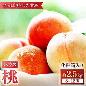 yӂ邳Ɣ[Łzy2026N5{`z ʍ͔|nEX 2.5kg ϔ /    t[c ʕ { / 쓇s / ӂ͂t@[ / _ [SBS006]