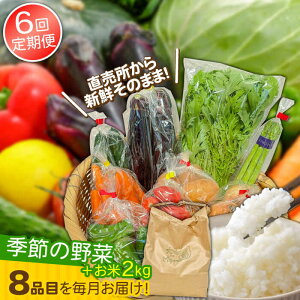 yӂ邳Ɣ[Łzy6ցz蔭IĂƋG߂̖؃Zbg 8i /    ؒ ₳  ₳ { lߍ킹 / 쓇s / Ȃ암Yg [SBW014