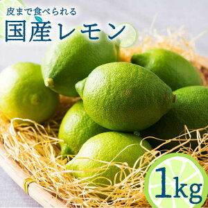 yӂ邳Ɣ[Łzy2025N10`zY 1kg /   EG Y [J ʕ t[c k / 쓇s / 茧_Yiʍ [SCB016]