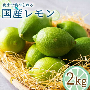 yӂ邳Ɣ[Łzy2025N10`zY 2kg /   EG Y [J ʕ t[c k / 쓇s / 茧_Yiʍ [SCB017]