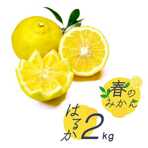 yӂ邳Ɣ[Łzy2026N2`zyu₩n k t݂̂ z͂邩 2kg / ݂ ~J  k ʕ t[c / 쓇s / 茧_Yiʍ [SCB028]
