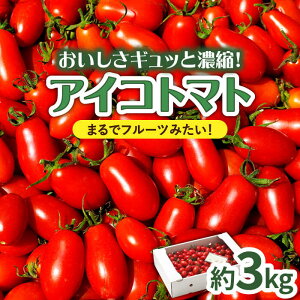 yӂ邳Ɣ[Łzy2025N12`zyn~jg}gzACRg}g 3kg / Ƃ܂ g}g ACR 3kg ~jg}g v`g}g  / 쓇s / 茧_Yiʍ [SCB052]