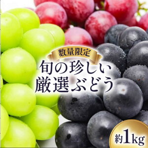 yӂ邳Ɣ[Łzy2026N8`zyʌz {̒I Ԃǂ  1kg / { t[c Ԃǂ uhE   ʕ }XJbg Yn / 쓇s / 茧_Yiʍ