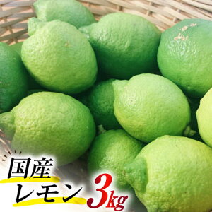 yӂ邳Ɣ[Łzy2025N8{`zY ̍îj3kg /   EG Y k / 쓇s / 茧_Yiʍ [SCB078]