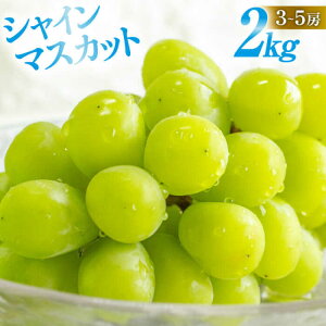 yӂ邳Ɣ[Łzy2026N8{`zyʌzVC}XJbg 2kgi3[`5[j/ }XJbg VC}XJbg ܂ Ԃǂ  uhE t[c ʕ / 쓇s / 