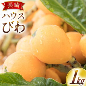 yӂ邳Ɣ[Łzy2026N4{`znEX т 1kg (250O×4pbN) / t[c т r f k / 쓇s / 茧_Yiʍ [SCB089]