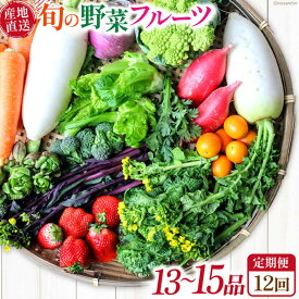 【ふるさと納税】【12回定期便】　「旬の野菜・フルーツ」 詰め合わせ セット（13品〜15品）/ 野菜 定期便 やさい 定期便 野菜セット やさいセット 春野菜 夏野菜 秋野菜 冬野菜 旬新鮮 / 南島原市 /長崎県農産品流通合同会社[SCB093]
