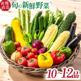 【ふるさと納税】旬の新鮮 野菜詰め合わせセット（10品～12品）/ 野菜 やさい 野菜セット やさいセット 春野菜 夏野菜 秋野菜 冬野菜 旬新鮮 / 南島原市 /長崎県農産品流通合同会社 [SCB094]