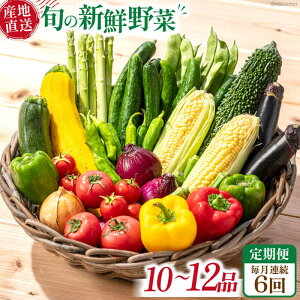 yӂ邳Ɣ[Łzy6ցzA {̐VN ؋lߍ킹Zbgi10i`12ij/   ₳  ؃Zbg ₳Zbg t Ė H ~ {VN / 쓇s