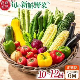 【ふるさと納税】【6回定期便】2ヵ月に1回 旬の新鮮 野菜詰め合わせセット（10品～12品）/ 野菜 定期便 やさい 定期便 野菜セット やさいセット 春野菜 夏野菜 秋野菜 冬野菜 旬新鮮 / 南島原市 /長崎県農産品流通合同会社 [SCB096]