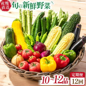 【ふるさと納税】【12回定期便】毎月連続お届け 旬の新鮮 野菜詰め合わせセット（10品～12品）/ 野菜定期便 やさい定期便 野菜セット やさいセット 春野菜 夏野菜 秋野菜 冬野菜 旬 新鮮 / 南島原市 /長崎県農産品流通合同会社 [SCB097]