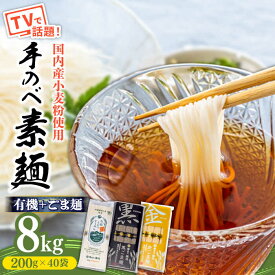 【ふるさと納税】【手のべ陣川：ふるさと納税 限定商品】 島原 有機 手延べ そうめん 手延べ ごま麺 詰合せ 8kg / TA-200 / 南島原市 / ながいけ [SCH030]