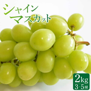 yӂ邳Ɣ[Łzy2026N8{`zy쓇YzVC}XJbg 2kgi3`5[j/ Ԃǂ  uhE Ⴂ܂ ʕ  t[c / 쓇s / Ȃ [SCH036]