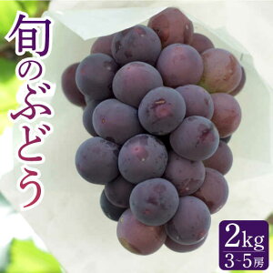 yӂ邳Ɣ[Łzy2026N7`zŷꂽĂ͂Iz{̂Ԃǂ ubNr[gororsI[l v2kg / Ԃǂ uhE  O[v t[c ӂ[ ʕ / 쓇s / 