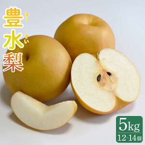 yӂ邳Ɣ[Łzy2026N8`zy쓇YzL  i1214j /  Ȃ iV ʕ t[c / 쓇s / Ȃ [SCH038]