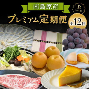 yӂ邳Ɣ[Łzyn108N̘VܓXoC[ZNgIz쓇̈i v~A 12 BR[X /  a ӂ P[L `[YP[L ߂  / Ȃ [SCH043]