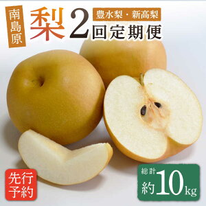 yӂ邳Ɣ[Łzy2026N8`zy2ցz쓇sYI Hה /  Ȃ iV ʕ t[c L V / 쓇s / Ȃ [SCH046]