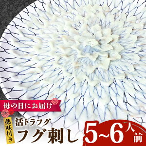 yӂ邳Ɣ[Łzy̓ɂ͂IzgtO tOhi5`6lOj / ӂ tO ͓ gtO ӂh / 쓇s / Ȃ [SCH065]