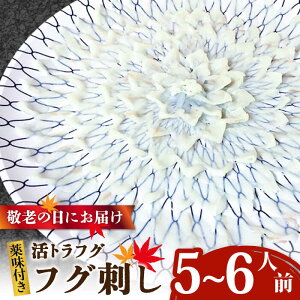 yӂ邳Ɣ[ŁzyhV̓ɂ͂IzgtO tOhi5`6lOj / ӂ tO ͓ gtO ӂh / 쓇s / Ȃ [SCH067]