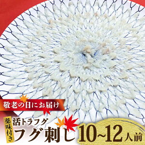 yӂ邳Ɣ[ŁzyhV̓ɂ͂IzygtO tOh WZbgi10`12lOj / ӂ tO ͓ gtO ӂh / 쓇s / Ȃ [SCH070]