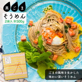 【ふるさと納税】そうめんの吉田がつくる 黒ごまそうめん （50g×5束）×2袋入 / そうめん 素麺 黒ごま 麺 乾麺 / 南島原市 / 吉田食品手延工場 [SCL005]