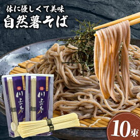 【ふるさと納税】手延べ 自然薯そば 500g（250g×2）/ そば 蕎麦 麺 / 南島原市 / 川上製麺 [SCM021]