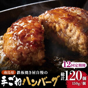 yӂ邳Ɣ[Łzy12ցzSĂ̎育 no[O IWi \[Xt 150g×10 / no[O ͂΁[ ٓ  SĂ / 쓇s / ͂ȂԂ [SCN102]