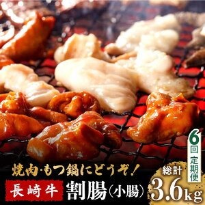 yӂ邳Ɣ[Łzy6ցz苍 ij ēEz p 600g /  Ȃ ₫ɂ z   / 쓇s / ͂ȂԂ [SCN116]