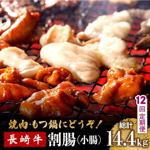 yӂ邳Ɣ[Łzy12ցz苍 ij ēEz  p 1.2kg /  Ȃ ₫ɂ z   / 쓇s / ͂ȂԂ [SCN120]