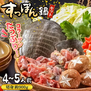 yӂ邳Ɣ[ŁzyǎR[QՂIzƉu͌̌NH@ɏXb|Zbg 4`5lO / ۂ Xb|  ۂ Xb| R[Q / 쓇s / ͂ȂԂ [SCN